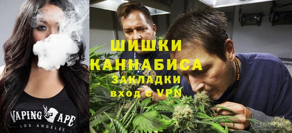 ECSTASY Горняк