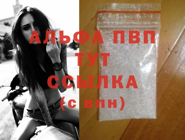 ECSTASY Горняк