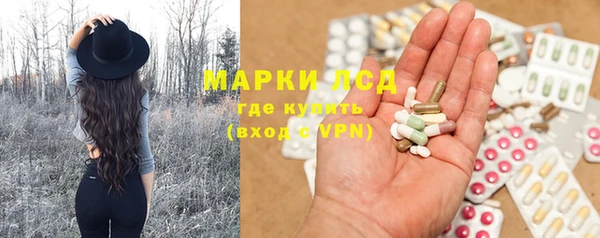 ECSTASY Горняк