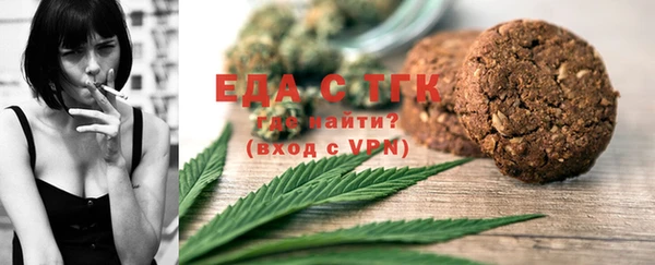 ECSTASY Горняк