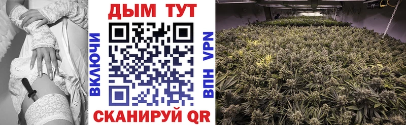 Купить закладки  Муравленко  МАРИХУАНА MAZAR 